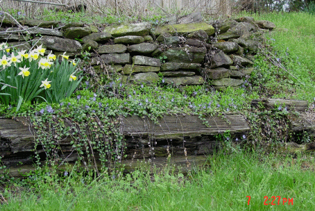 Spring-Color-011.gif image by Kringles_Helper